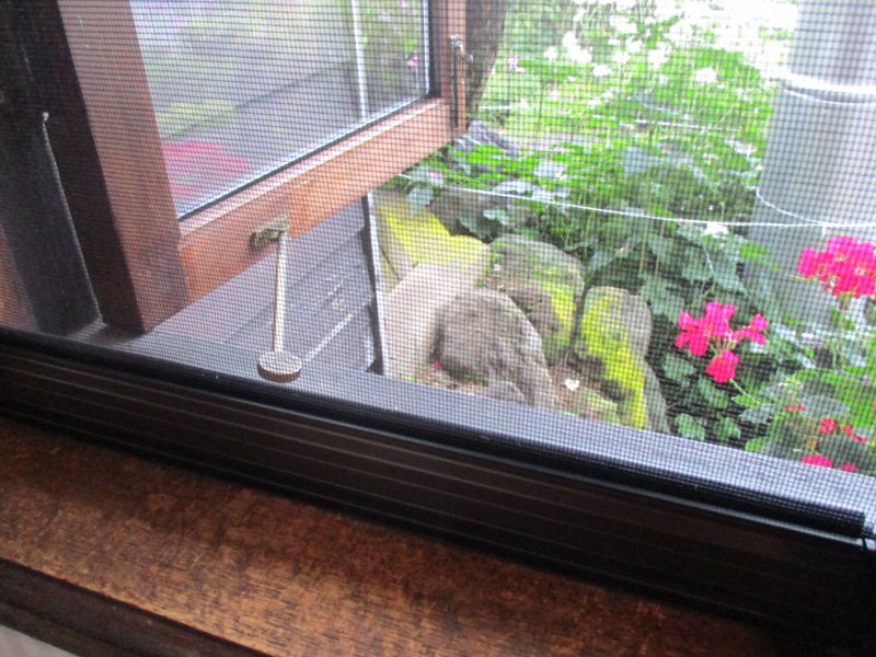 お部屋コーディネート施工例＃266 イメージ