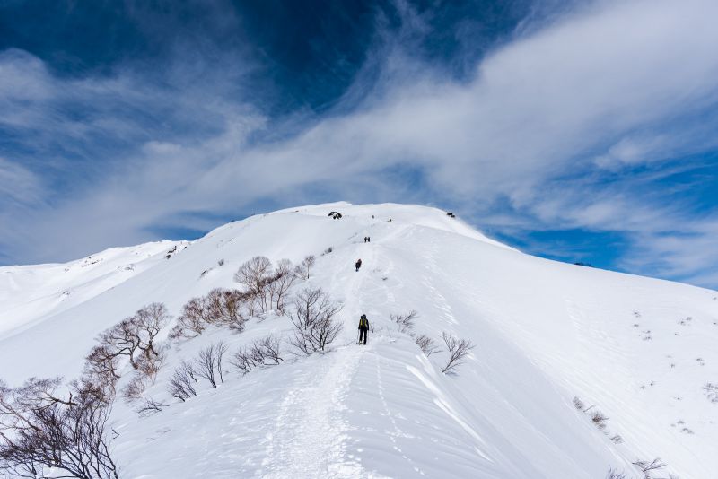 施工例テスト イメージ